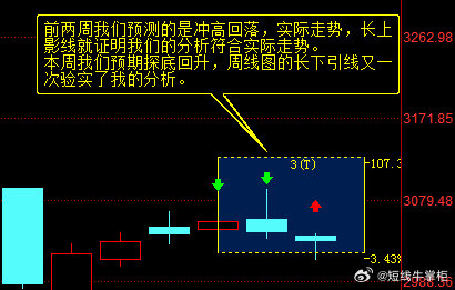 一肖一码中,现状分析解释落实