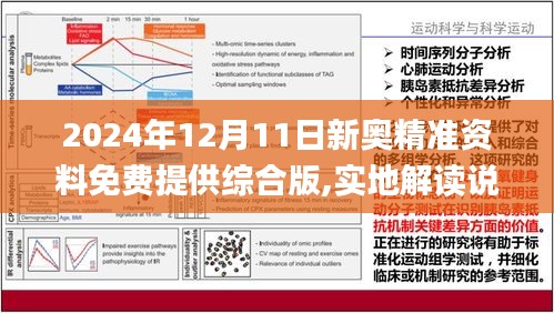 2024,2025新奥资料免费精准,词语释义解释落实