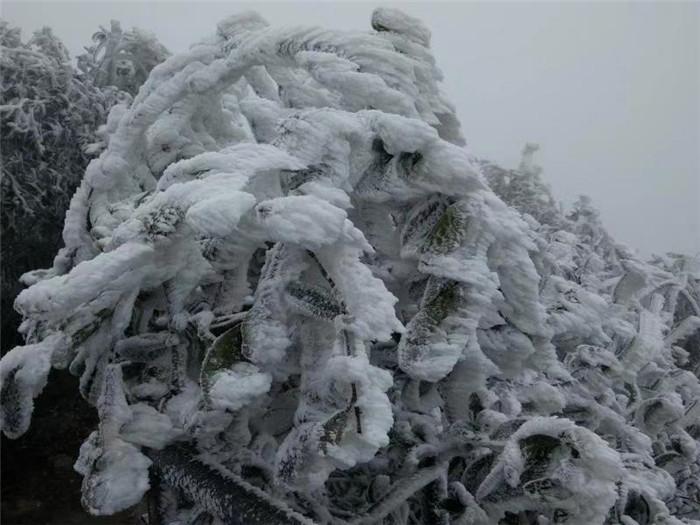 广东省哪些市会下雪