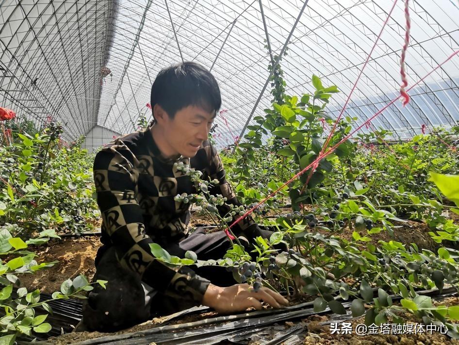 广东东港建设有限公司，构建未来的坚实力量