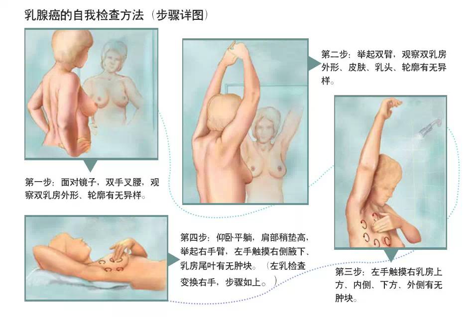 关于八岁三个月乳房出现硬块的探讨