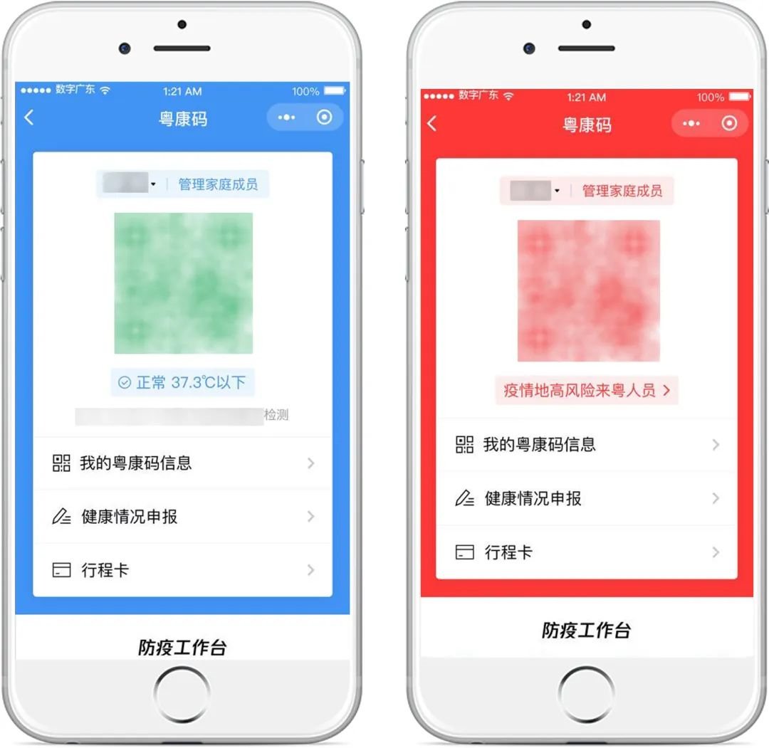 广东省健康码颜色图片，健康管理的数字化表达
