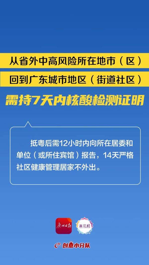 广东省检钻石查询，探索钻石真伪的权威途径