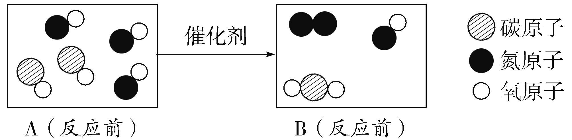 广东省初三化学，探索微观世界，培养科学素养